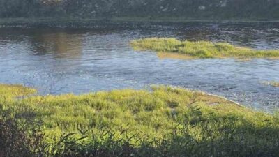 Bursa'nın Karacabey ilçesinde 10 yaşındaki Hızır Ali, arkadaşlarıyla top oynarken