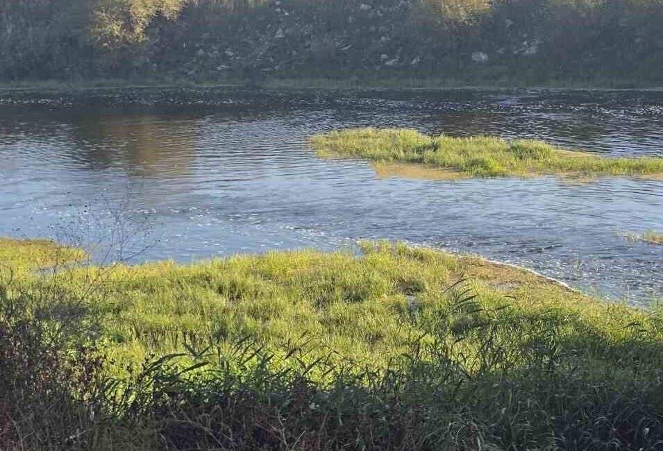 Bursa’da Dere Kenarında Oyun Oynayan Çocuklardan Biri Boğularak Hayatını Kaybetti Bursa'nın Karacabey ilçesinde 10 yaşındaki Hızır Ali, arkadaşlarıyla top oynarken