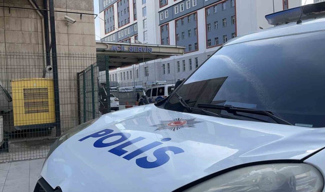 Siirt'teki canlı hayvan borsasında meydana gelen silahlı kavgada 5 kişi