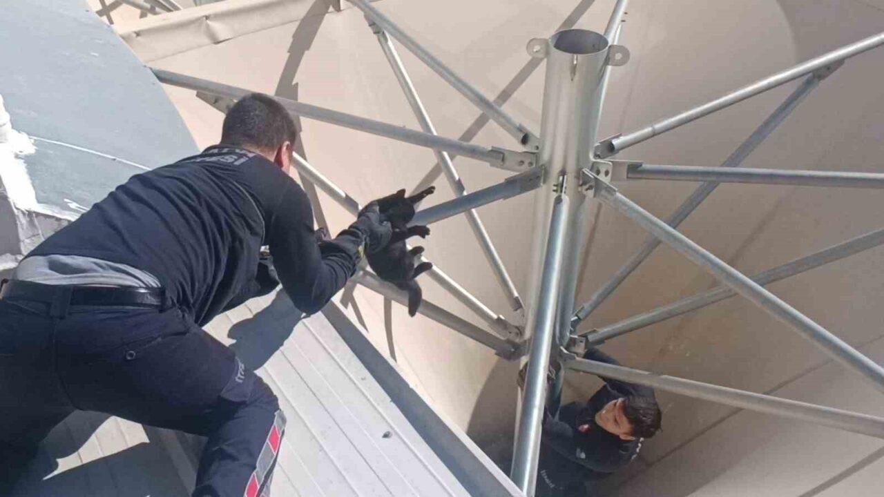 Manavgat’ta Huni Şeklindeki Çatıda Mahsur Kalan Kedi, İtfaiye Ekipleri Tarafından Kurtarıldı