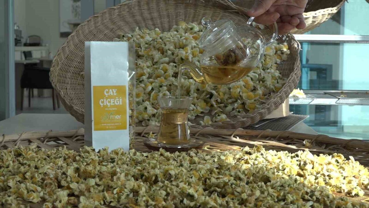 Doğu Karadeniz'deki çay üretimi, çay sezonu sona erdikten sonra çay