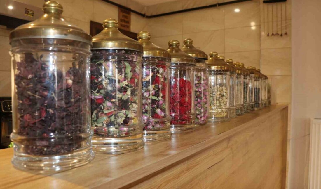 Sivas'taki bir kafede, 50 çeşit özgün isimli bitki çayı büyük