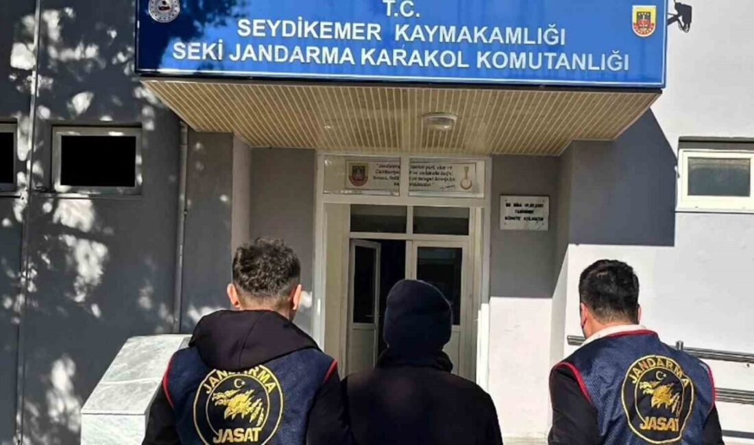 Muğla İl Jandarma Komutanlığı, 17-23 Kasım 2025 tarihleri arasında yaptığı
