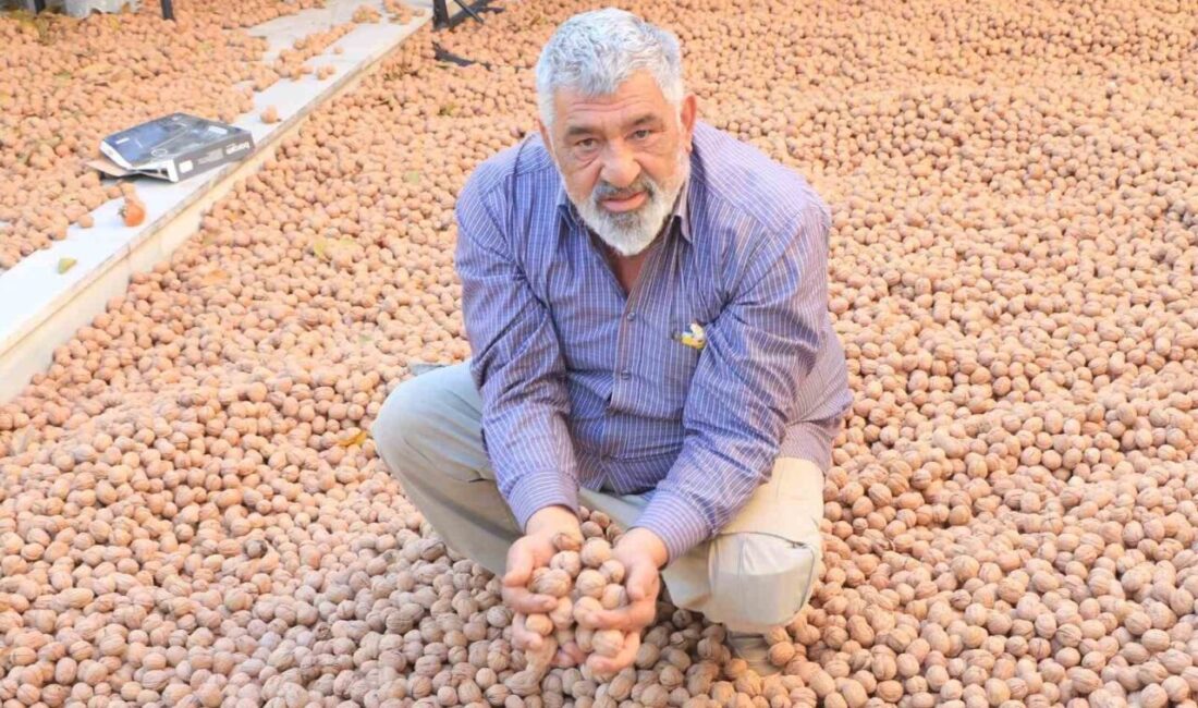 61 yaşındaki Ziya Nacaklı, Fransa'daki dönercilik kariyerinin ardından memleketi Denizli'de