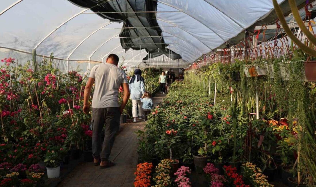 Adana'da Öğretmenler Günü öncesi çiçekçilerde hareketlilik gözlemleniyor. Kesme çiçekler yerine