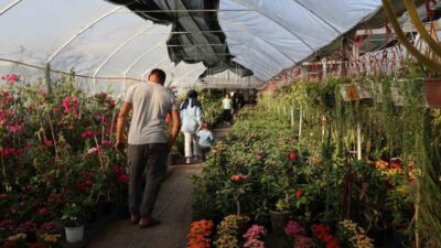 Adana'da 24 Kasım Öğretmenler Günü öncesi çiçekçilerin yoğunluğu arttı. Özellikle