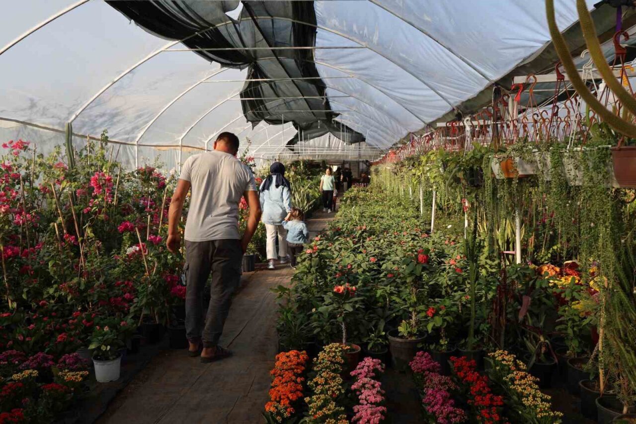 Adana'da Öğretmenler Günü öncesi çiçekçilerde hareketlilik gözlemleniyor. Kesme çiçekler yerine