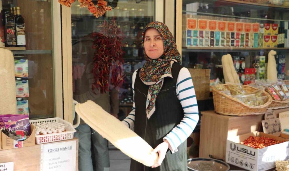 Eskişehir'de doğal ürünlere olan ilginin artmasıyla kabak lifi popülaritesini yeniden