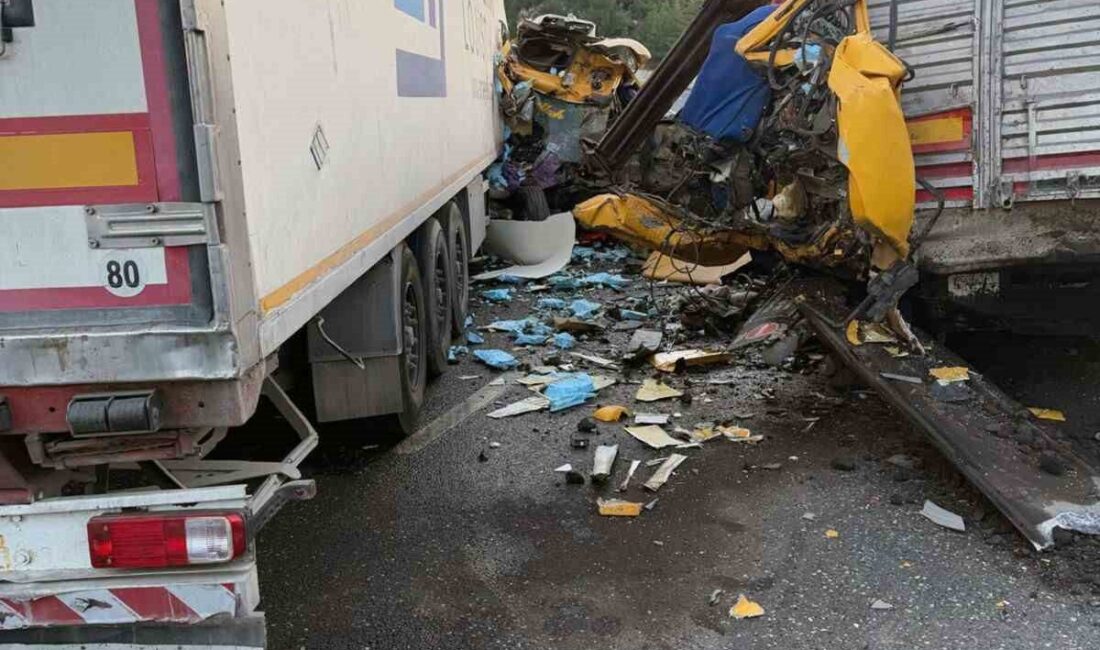 Aydın-Muğla karayolunda iki TIR'ın çarpıştığı kazada yaralanan sürücülerden Ayhan Gönden'in