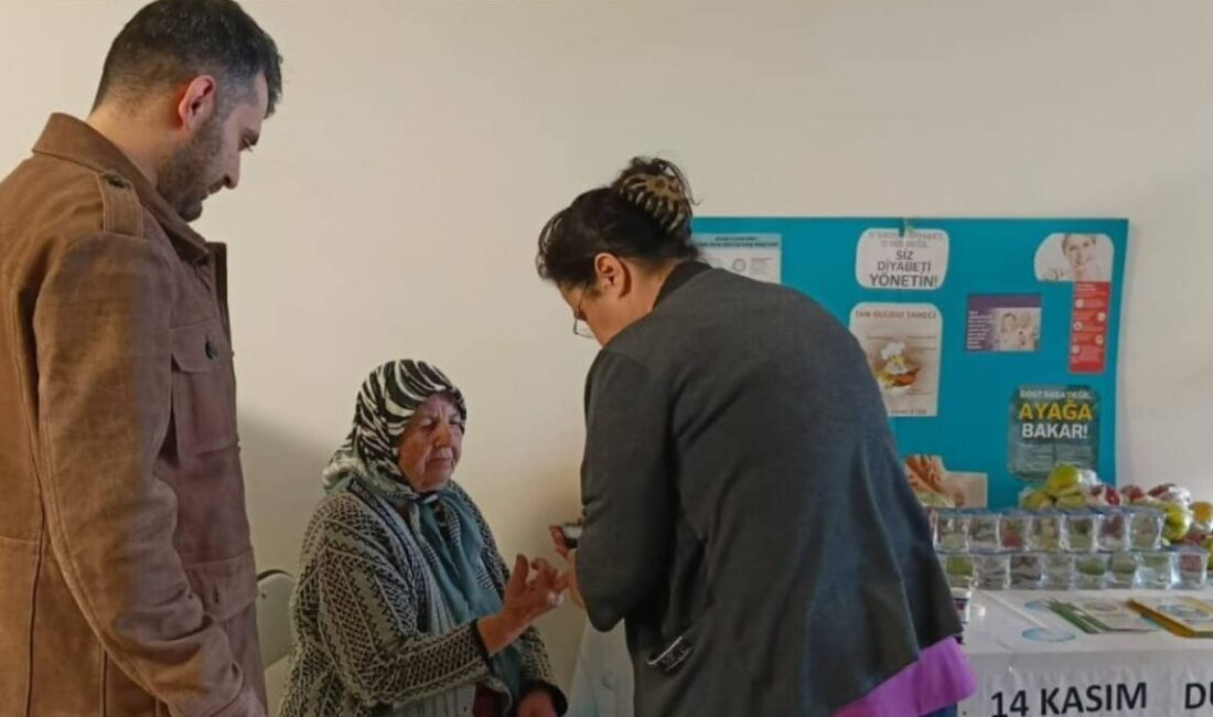 Çine Devlet Hastanesi, Dünya Diyabet Günü'nde halkı bilinçlendirmek için bilgilendirme