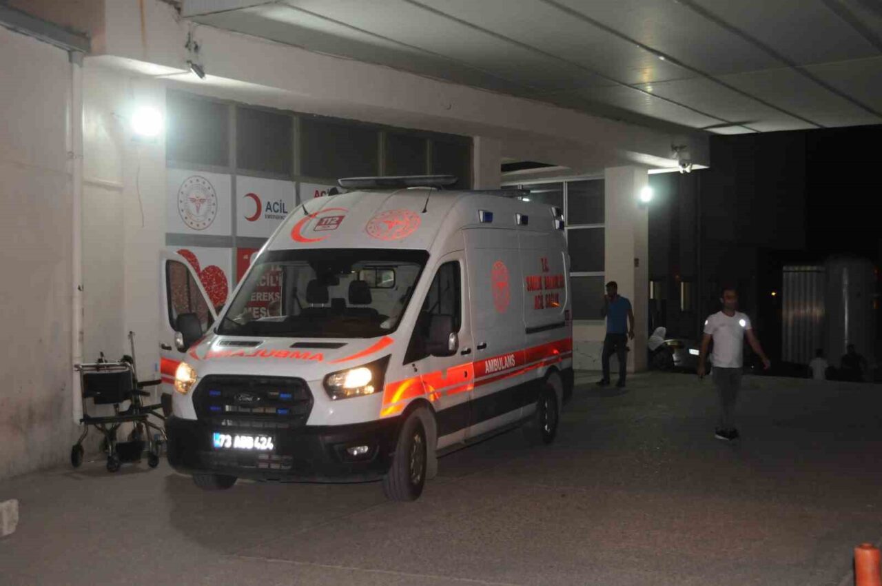 Cizre'de bir kafede pizza yiyen dört kişi zehirlenerek hastaneye kaldırıldı.