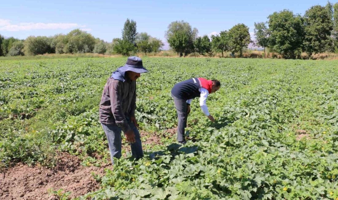 Erzincan’da Çiftçi Kayıt Sistemi Başvuruları İçin Son Günlere Gelindi! Erzincan'da 2026 yılı için Çiftçi Kayıt Sistemi (ÇKS) başvuruları 31