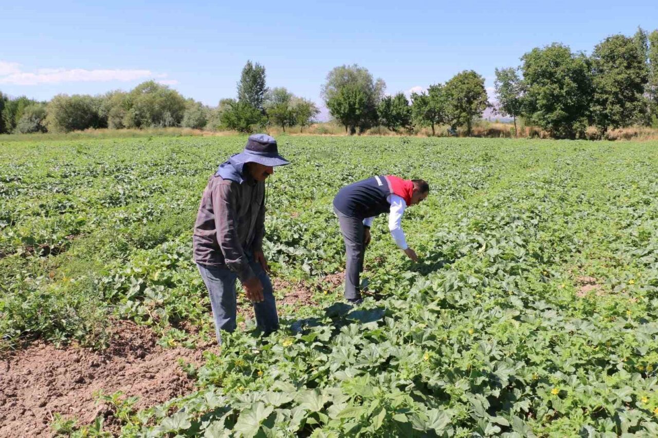 Erzincan’da Çiftçi Kayıt Sistemi Başvuruları İçin Son Günlere Gelindi!