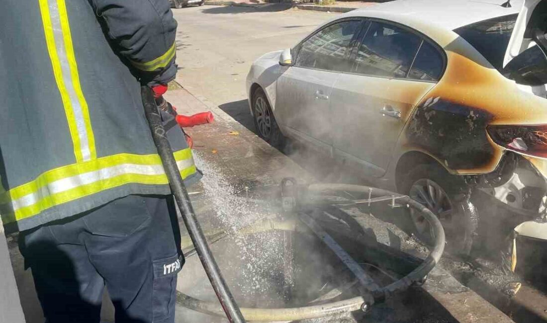 Van'ın İpekyolu ilçesindeki Alipaşa Mahallesi'nde, kimliği belirsiz bir şahıs tarafından