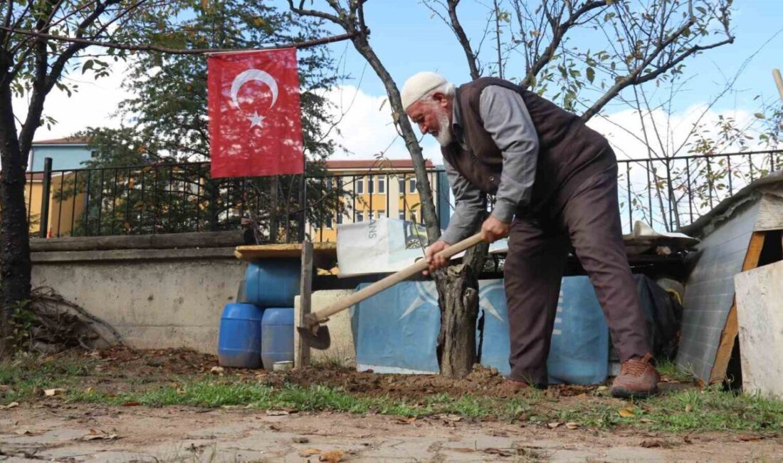 Eskişehir'de 90 yaşındaki İlhan Akbıyık, atıl arazide 50 fidan yetiştirerek