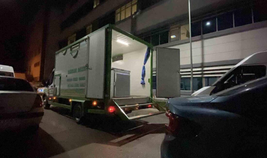 Çorum'un Oğuzlar ilçesinde S.A. ile Sadettin (66) ve Engin Karanfil