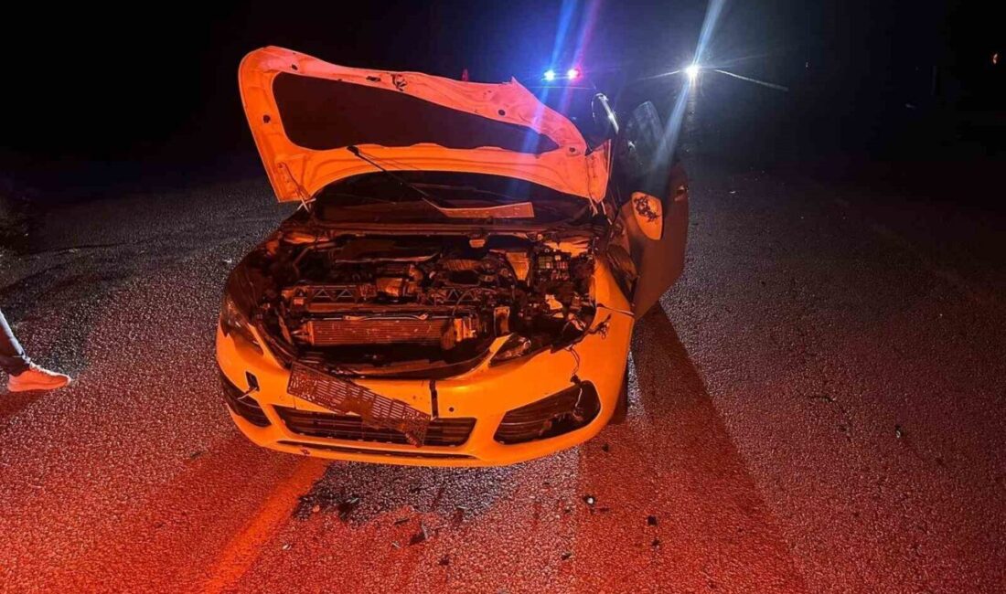 Çorum'un Alaca ilçesinde yola çıkan bir danaya çarpan Murat K.