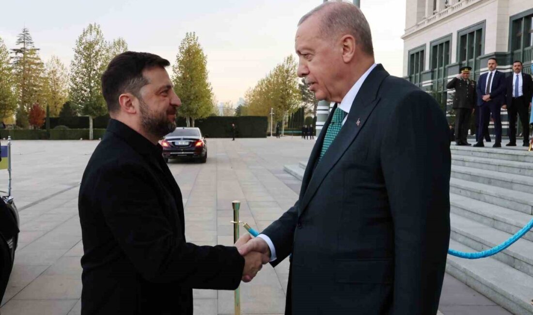 Cumhurbaşkanı Recep Tayyip Erdoğan ve Ukrayna Devlet Başkanı Vladimir Zelenskiy,