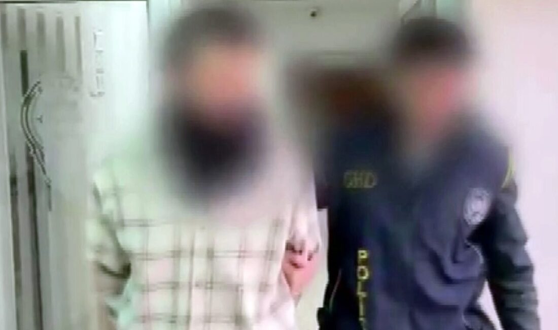 Sakarya’da D-100 Kara Yolunda Düzensiz Göçmenlere Yönelik Operasyon: İki Şahıs Tutuklandı, Yedisi Deport Edildi Sakarya'da polis, D-100 kara yolunda bir minibüste Afganistan uyruklu 7