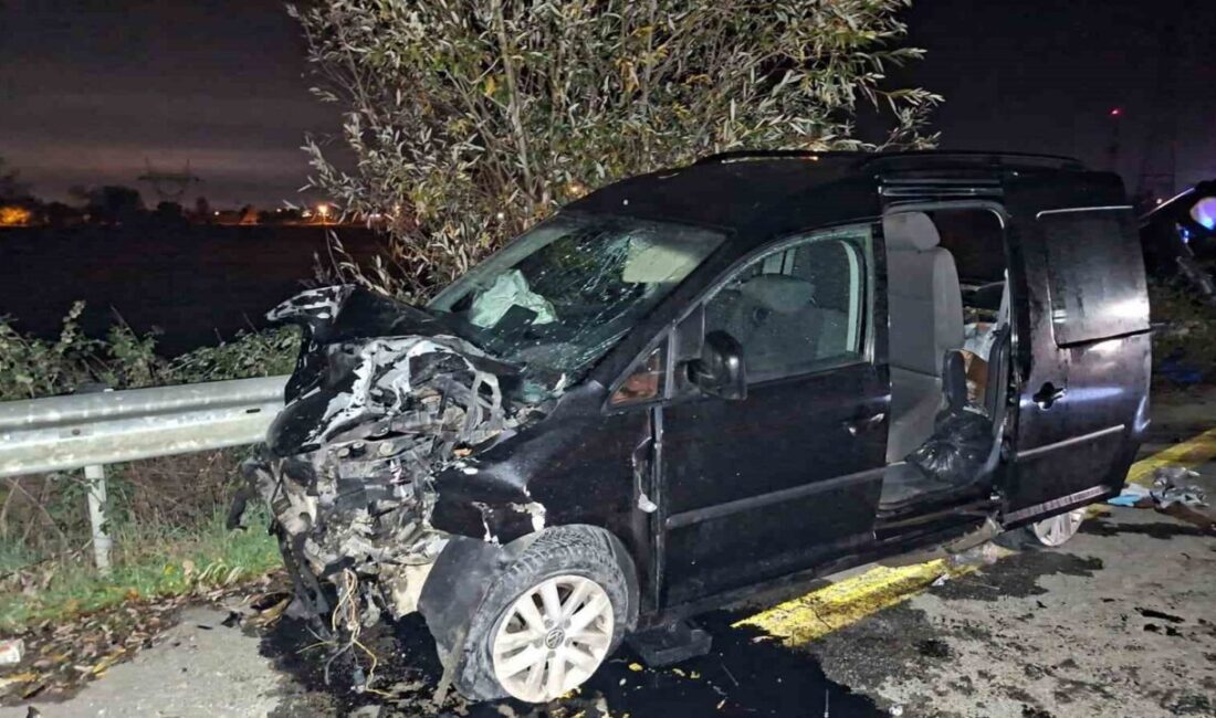 Sakarya'nın Akyazı ilçesinde meydana gelen trafik kazasında Uğur Başkaya hayatını