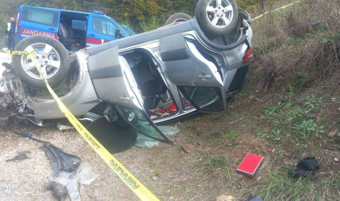 Sakarya'nın Akyazı ilçesinde meydana gelen trafik kazasında iki kişi hayatını