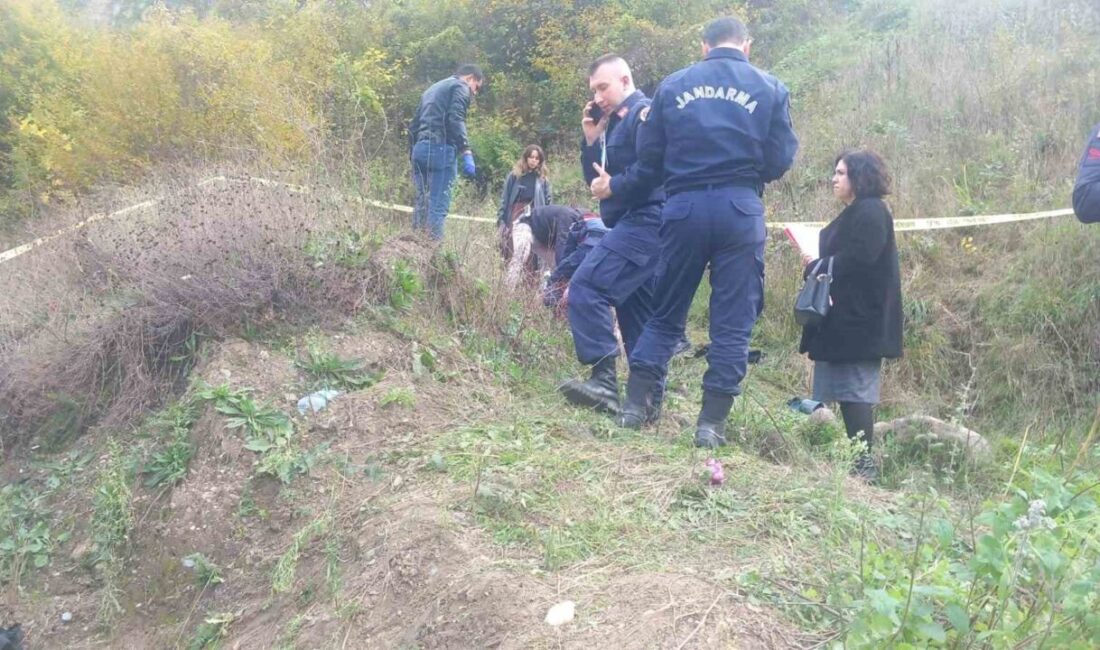 Sakarya'nın Akyazı ilçesinde D-140 kara yolunda meydana gelen trafik kazasında,