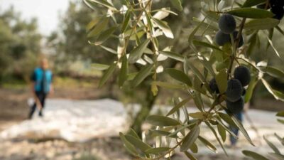 Manisa'nın Yunusemre ilçesinde, Denetimli Serbestlik Müdürlüğü, Milli Eğitim ve Ticaret