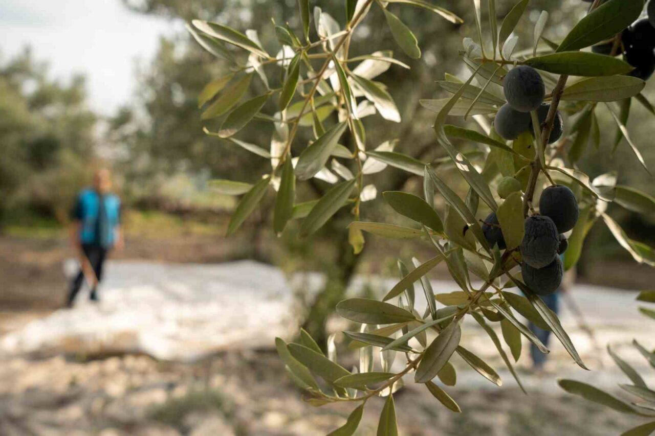 Manisa'da Denetimli Serbestlik Müdürlüğü, Yunusemre İlçe Milli Eğitim Müdürlüğü ve