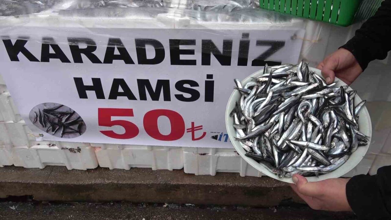 Amasya'da Gökhan Aykurt, hamsinin kilosunu 50 TL'ye düşürdü. Vatandaşlar indirim