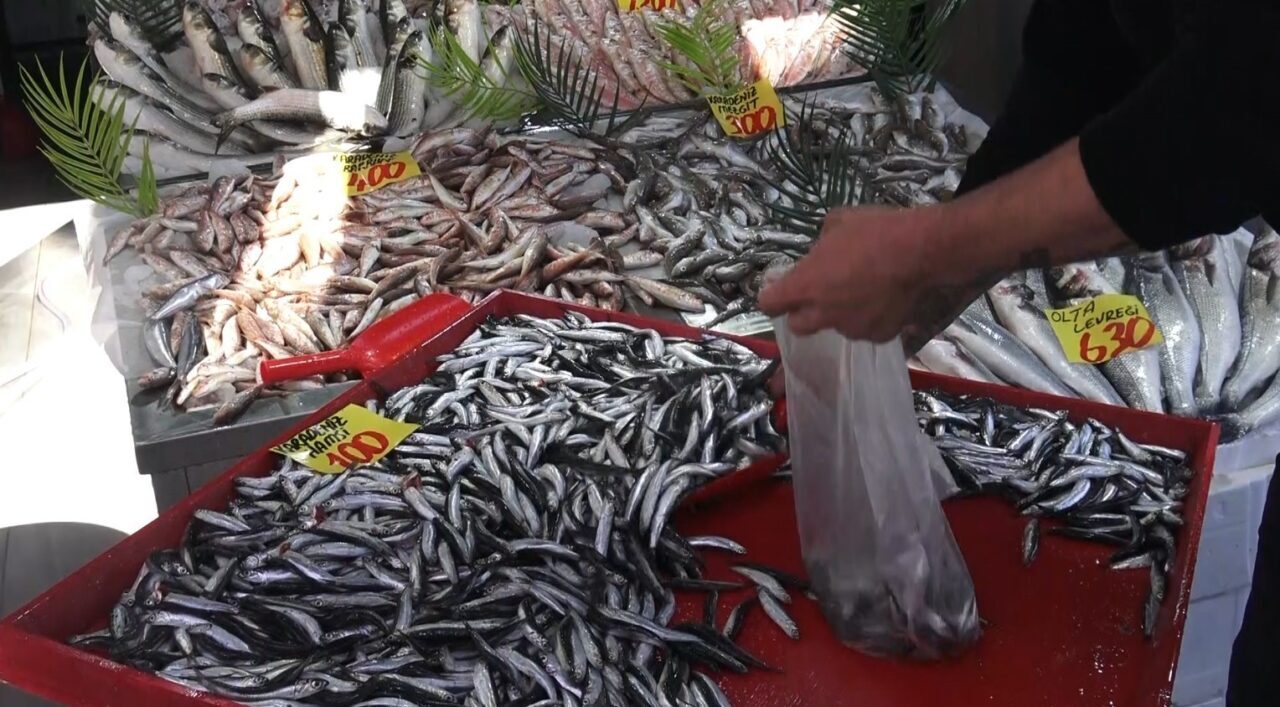 Çankırı'da hamsi fiyatları 100 liraya kadar düşerken, bu durum vatandaşları