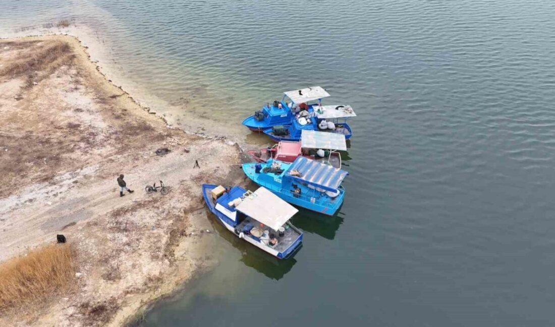 Malatya'nın Karakaya Baraj Gölü'nde avlanan balıklar, günlük 1,5-2 ton arasında