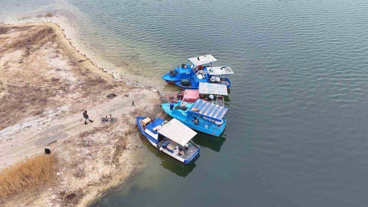 Malatya'nın Karakaya Baraj Gölü'nde avlanan balıklar, günlük 1,5-2 ton arasında