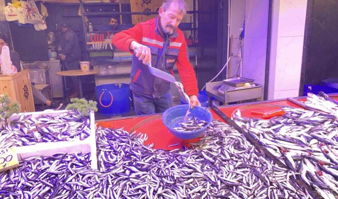 Eskişehir’deki Tezgahlarda Hamsi Fiyatları Düşerken Palamutun Fiyatı Yükseliyor Eskişehir'de hamsinin 100 TL'ye düşmesi, balık tezgahlarının en çok ilgi