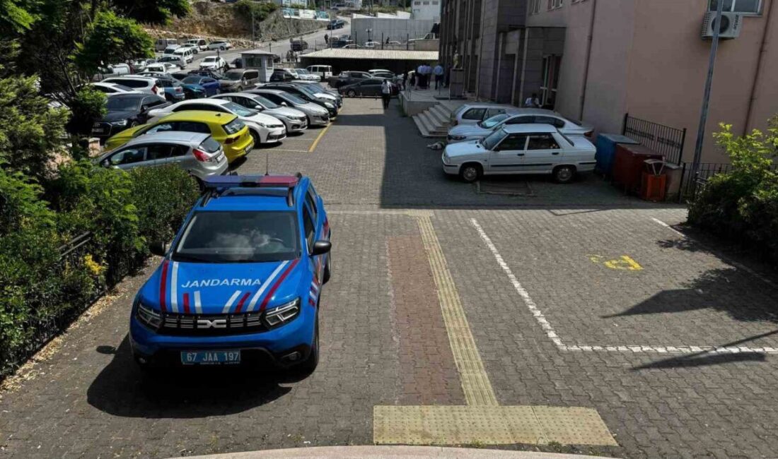 Zonguldak'ın Alaplı ilçesindeki bir fındık deposundan yaklaşık bir ton fındık