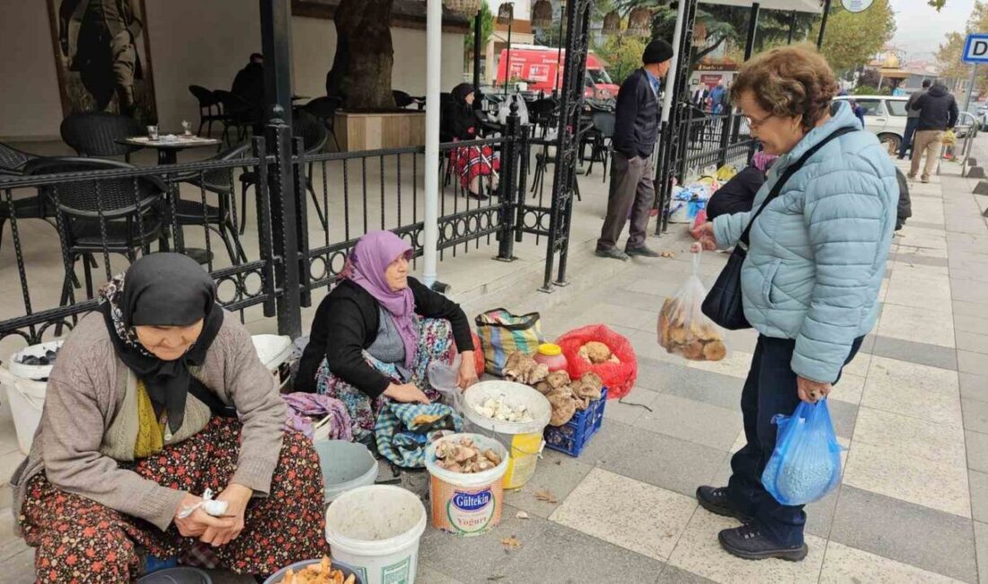 Sındırgı’da Depremlerin Ardından Halk, Ekonomik Faaliyetlere ve Normalleşmeye Yönelik Çabalarını Sürdürüyor Balıkesir’in Sındırgı ilçesinde, Ağustos ve Ekim'deki depremler sonrası vatandaşlar, Cumhuriyet