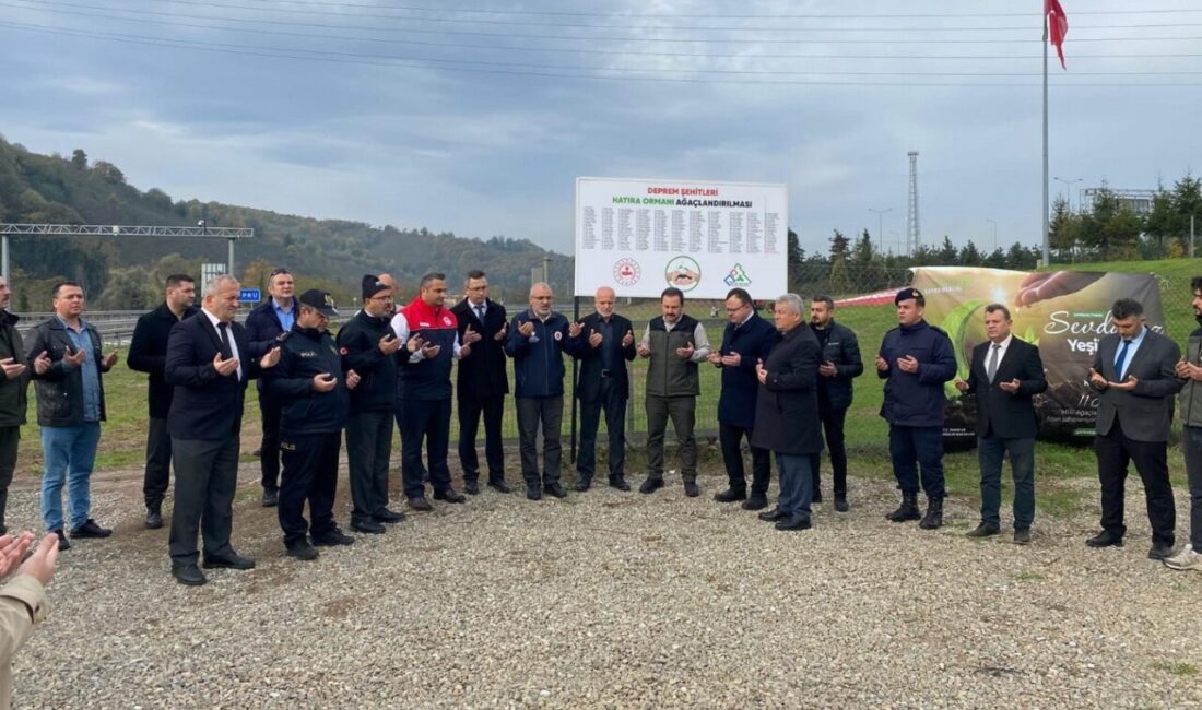 Düzce’de deprem şehitleri anısına 350 fidan toprakla buluşturuldu Düzce'nin Kaynaşlı ilçesinde, deprem şehitlerine ithafen düzenlenen etkinlikte 350 Toros