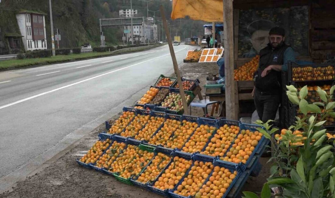 Rize'nin Derepazarı ilçesinde üretilen ve doğal lezzetiyle bilinen Derepazarı mandalinasında