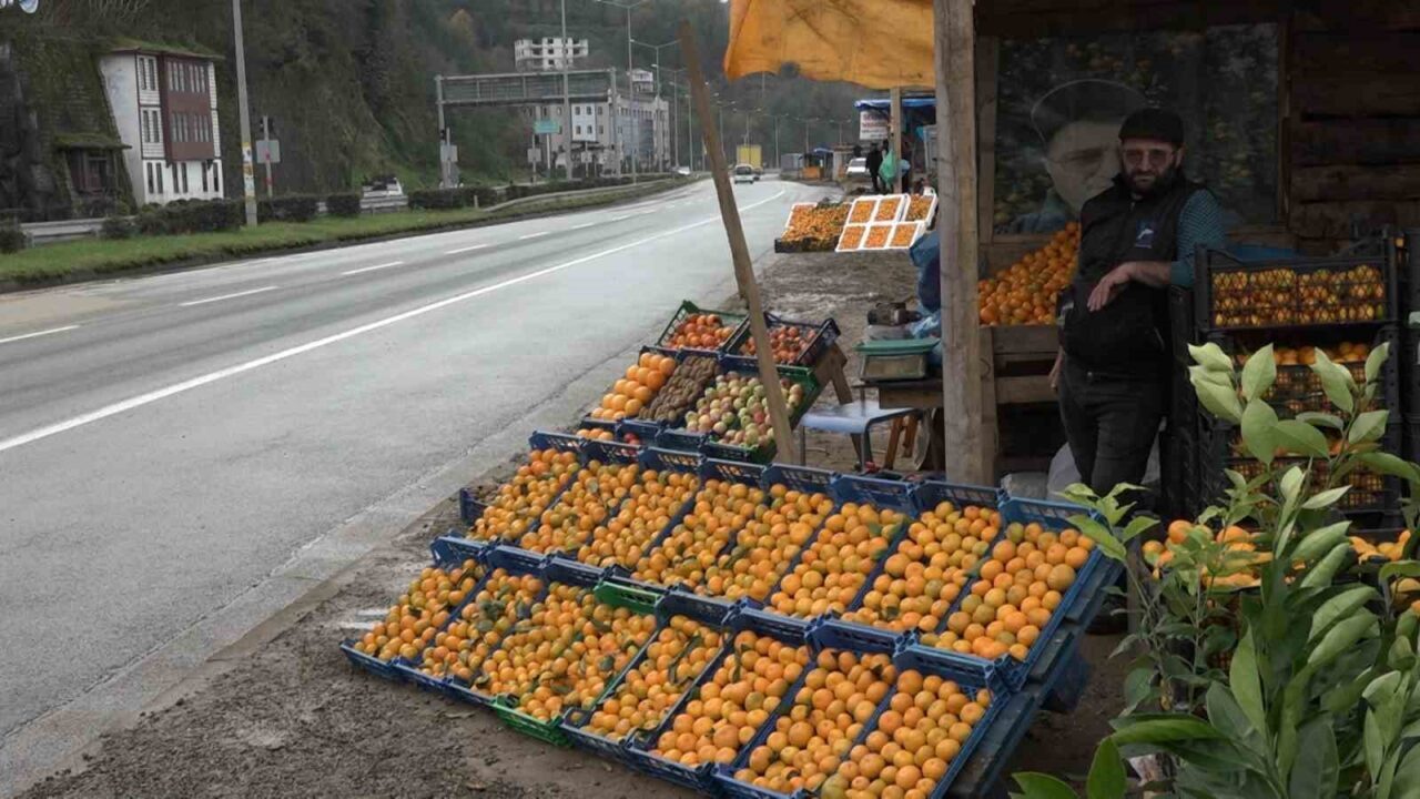 Rize'nin Derepazarı ilçesinde üretilen ve doğal lezzetiyle bilinen Derepazarı mandalinasında