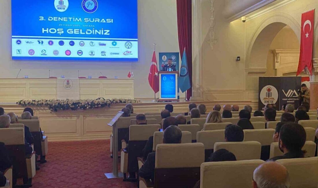 Cumhurbaşkanlığı Devlet Denetleme Kurulu Başkanı Salih Tanrıkulu, kamu denetim bilincinin