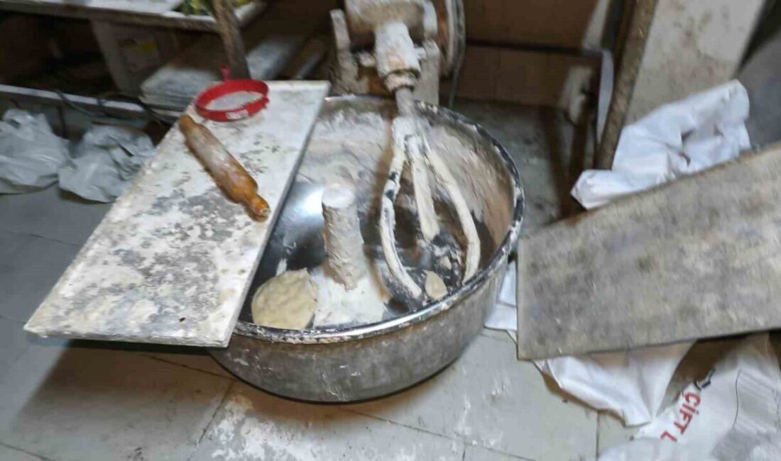 Devrek’te Zabıta Ekipleri, Hijyen Kurallarına Uymayan Pideciyi Mühürledi Zonguldak’ın Devrek ilçesinde zabıta ekipleri, hijyen kurallarına uymayan ve bozulmuş