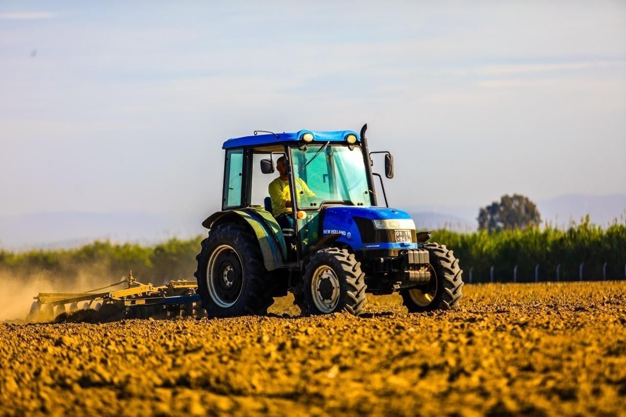 Didim Belediyesi, Balat Mahallesi'nde 70 dönümlük alanda buğday ekimi yaparak