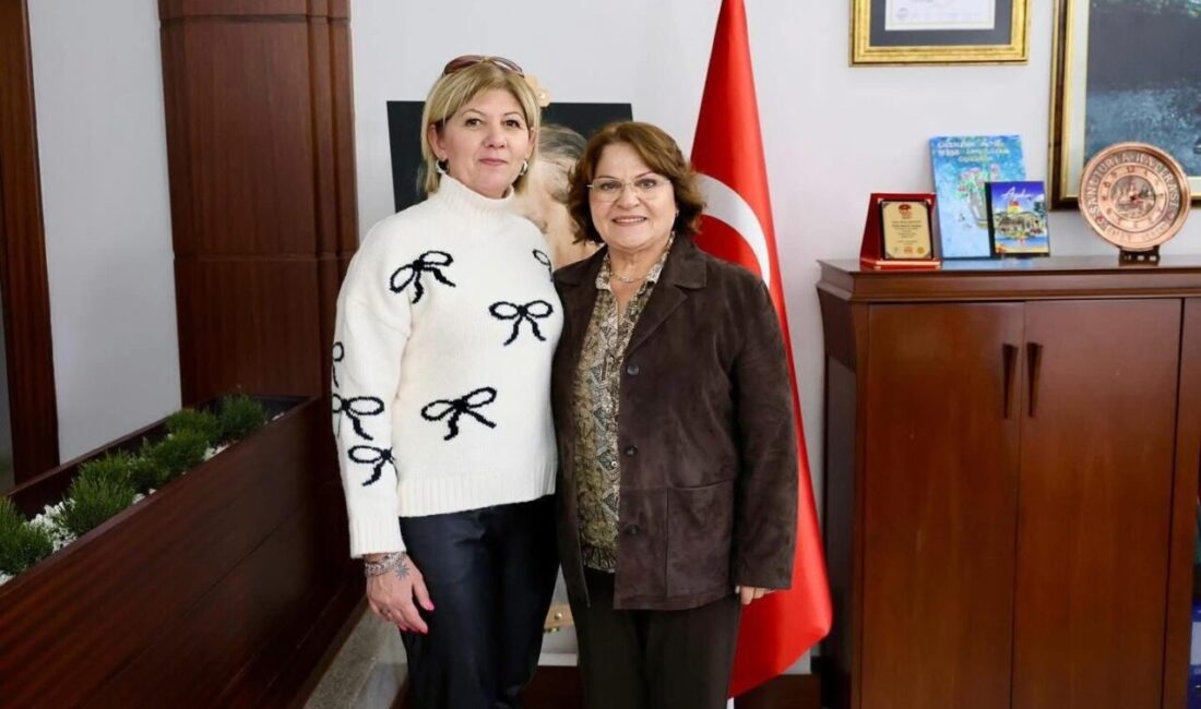 Didim Belediyesi, Sokak Hayvanlarının Yaşam Koşullarını İyileştirmek İçin Sivil Toplum Kuruluşlarıyla İş Birliğine Gidiyor Didim Belediyesi, sokak hayvanlarının yaşam koşullarını iyileştirmek için sivil toplum