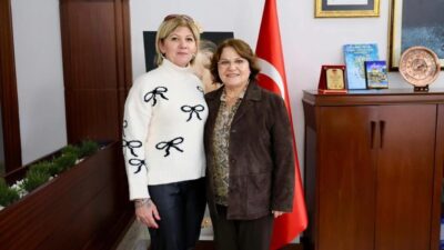 Didim Belediyesi, sokak hayvanlarının yaşam koşullarını iyileştirmek için sivil toplum