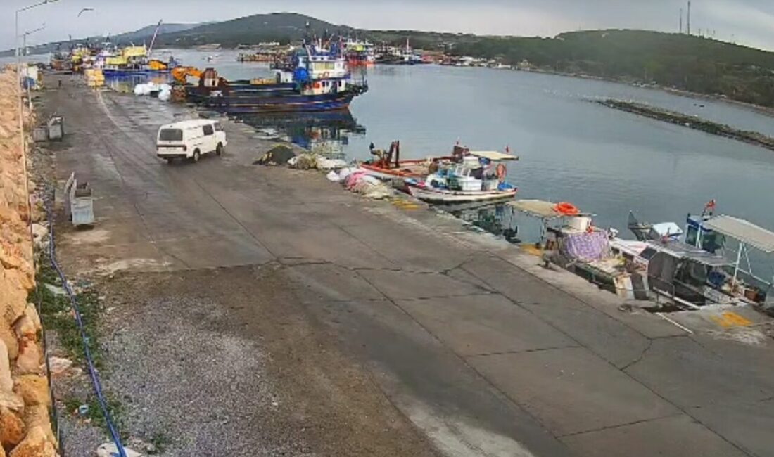 Didim'in Taşburun Balıkçı Barınağı'nda kontrolden çıkan bir araç denize düştü.