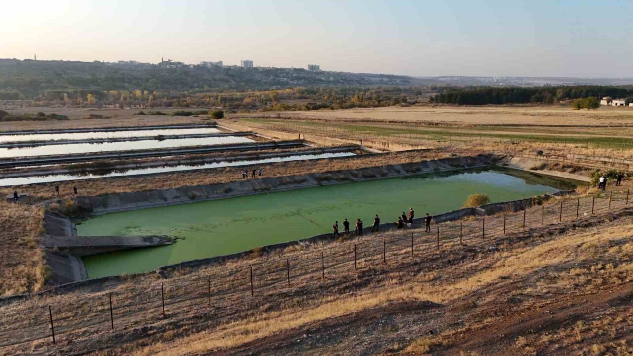 Hakkari'de görevli polis memuru İsmail T. (35), 5 Kasım'da karaciğer