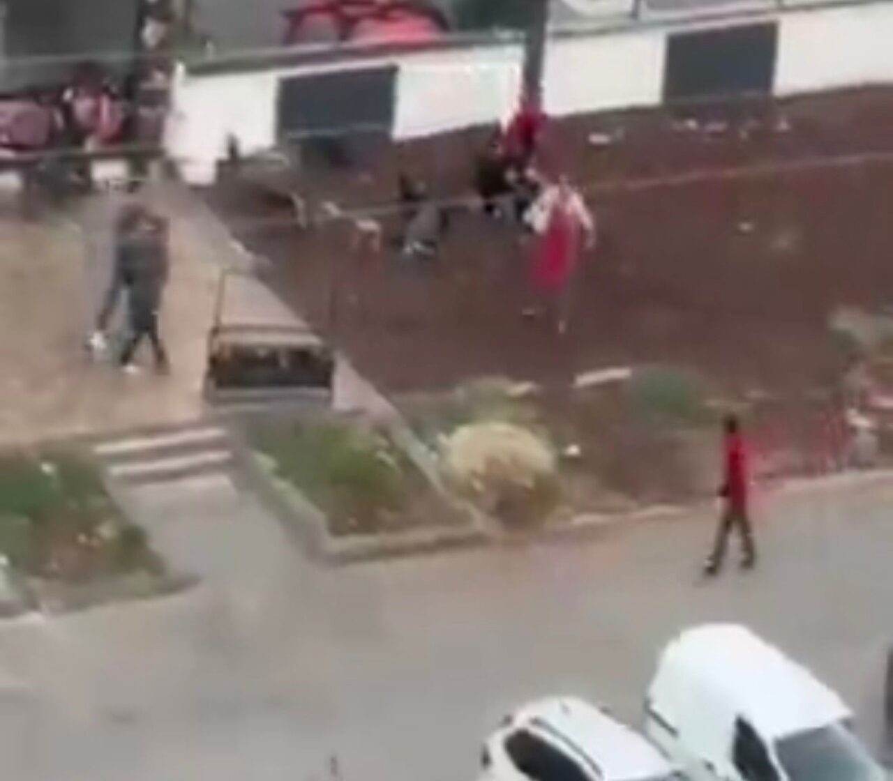 Diyarbakır'da bir kasap dükkanında, Zülfü Coşan ve Ensari Coşan'ın hayatını