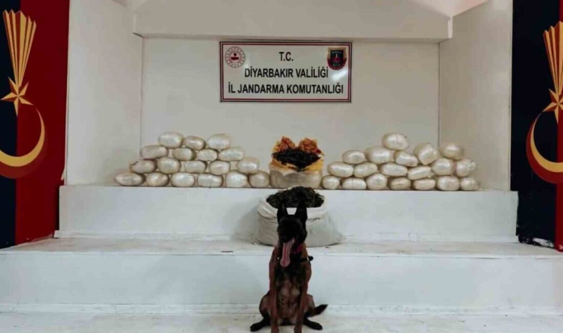 Diyarbakır'ın Lice ilçesinde jandarma, 470 kilo skunk ve 85 kilo