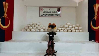 Diyarbakır'ın Lice ilçesinde jandarma, 470 kilo skunk ve 85 kilo