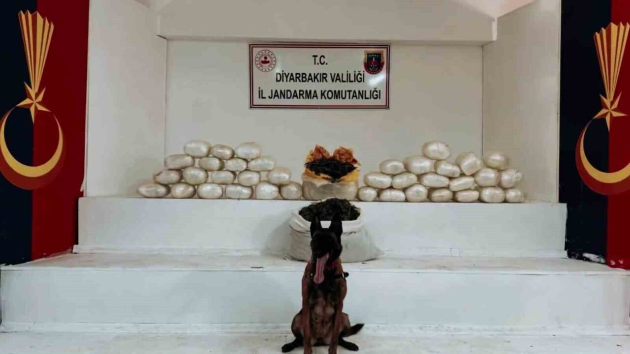 Diyarbakır'ın Lice ilçesinde jandarma, 470 kilo skunk ve 85 kilo