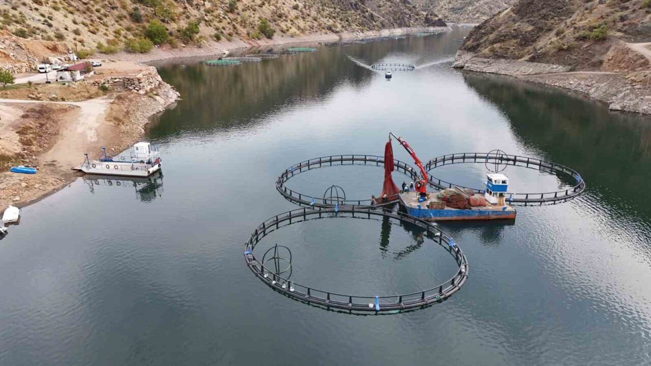 Diyarbakır'ın Çüngüş ilçesindeki Atatürk Barajı havzasında 500 ton kapasiteli balık